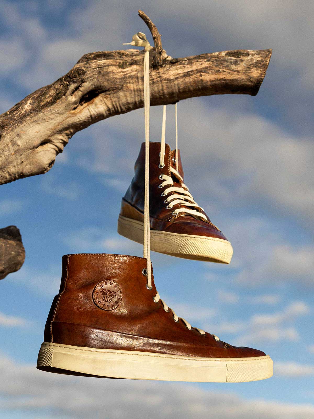 benci brothers scrambler on a tree