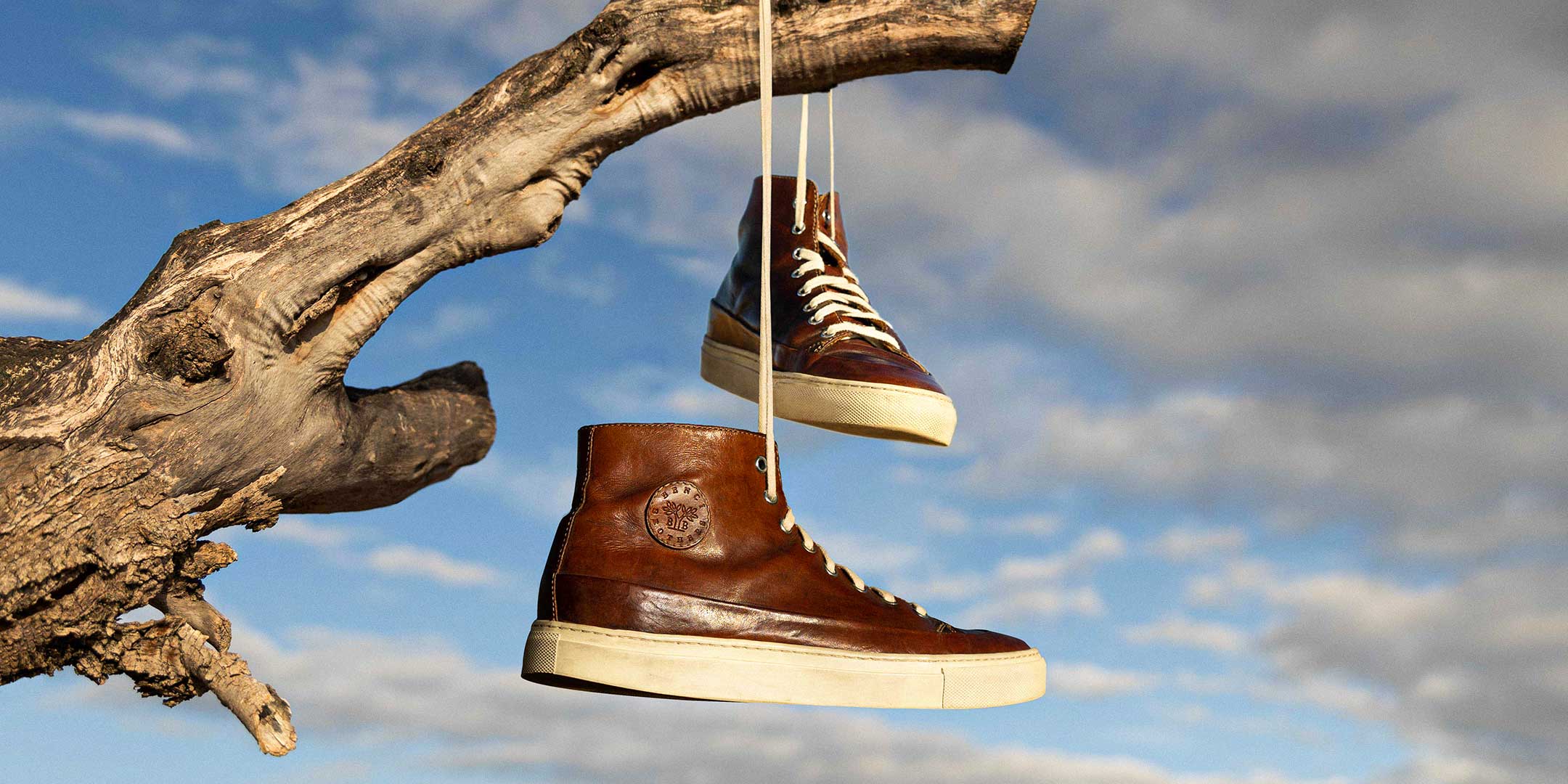 benci brothers scrambler on a tree